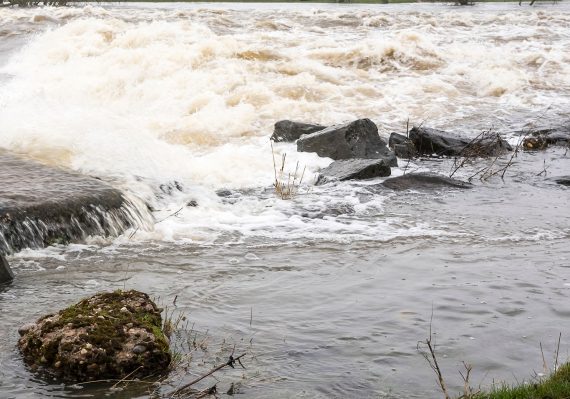 Flood Waters