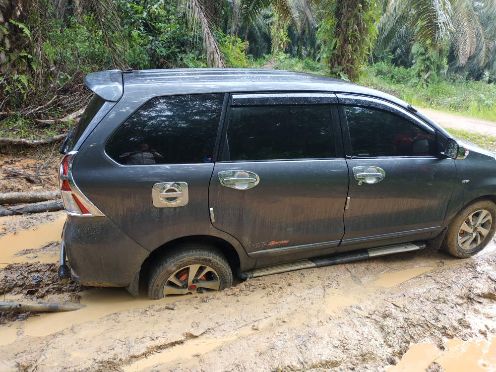 the long and short of it - car stuck in the mud